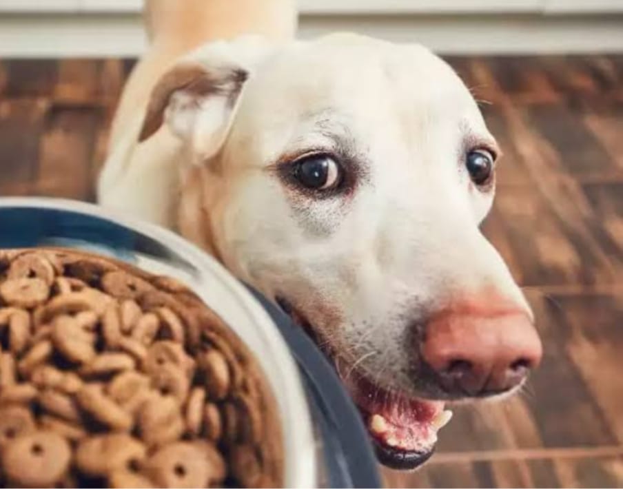 WhatsApp Image 2025-08-29 at 16.24.36 (1).jpeg